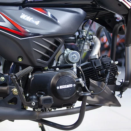 Мопед Regulmoto Alpha (RM-4) (Черный, , 301107-3)