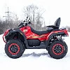 Квадроцикл (снегоболотоход) Таврида SFA 1000 (красный/красный)